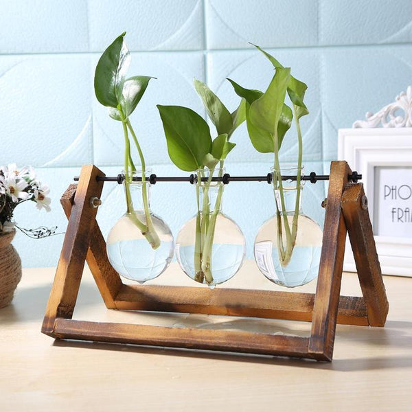 Terrarium Plant Stands - nachan-teststore12